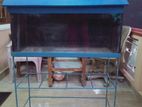Fish Tank