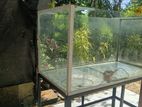 Fish Tank