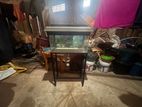 FISH TANK