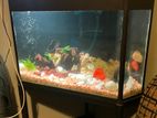 Fish tank