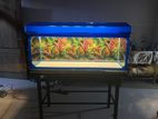 Fish Tank