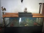 Fish Tank 6ft with Stand