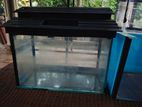 Fish Tanks