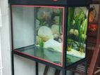 Fish tank