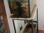 Fish Tank with All Accessories