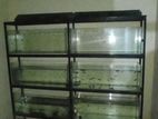 Fish Tank