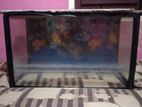 Fish Tank