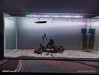 Fish Tank with Equipments