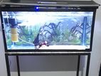 Fish Tank With Equipment