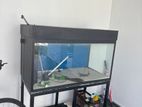 Fish Tank (with Stand & Roof)