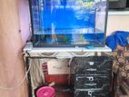 Fish Tank For Sell