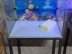 Fish Tank (Front Curved)