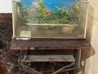 Fish Tank with Equipment