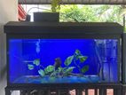 Fish Tank Full Set 2.5/1/1