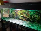 Fish Tank Full set 4ft (මාළු ටැංකිය)