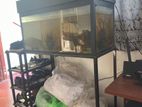 FISH TANK FULL SET