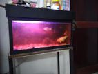 Fish Tank Full Set