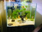 Fish Tank Full Set with