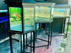 Fish Tank Full Set