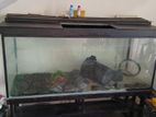 Fish Tank with Full Set