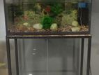 Fish Tank Full Set