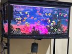 Fish Tank - Full set