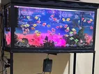 Fish Tank - Full set