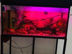 Fish tank full set
