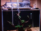 Fish Tank Full Set