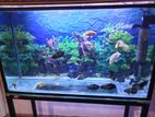 fish tank full set
