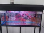 Fish Tank Full Set with 4 Oscars