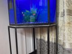 Fish Tank Full Set with Stand