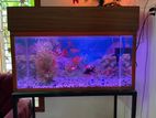 Fish Tank Full Set with Stand