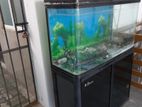 Fish Tank