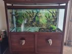 Fish Tank මාළු ටැංකි