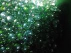 Fish Tank Marble