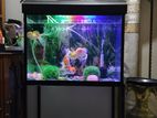 Fish Tank Set