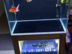 Fish Tank Set