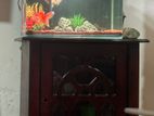 Fish Tank Stand Full Set