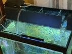 Fish Tank Sump Filter System(new)