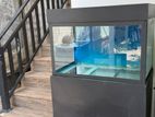 Fish Tank (Used)