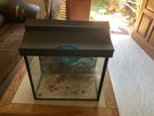 Fish Tank (Used)