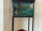 Fish Tank with 7 Gold