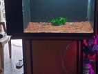 Fish Tank with Stand