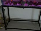 Fish Tank with Accessories, Fishes