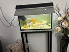 Fish Tank with Full Set
