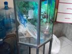 Fish Tank with Accessories