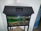 Fish Tank with Accessories