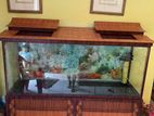 Fish Tank With Accessories