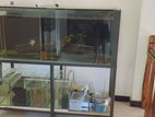 Fish Tank With Accessories